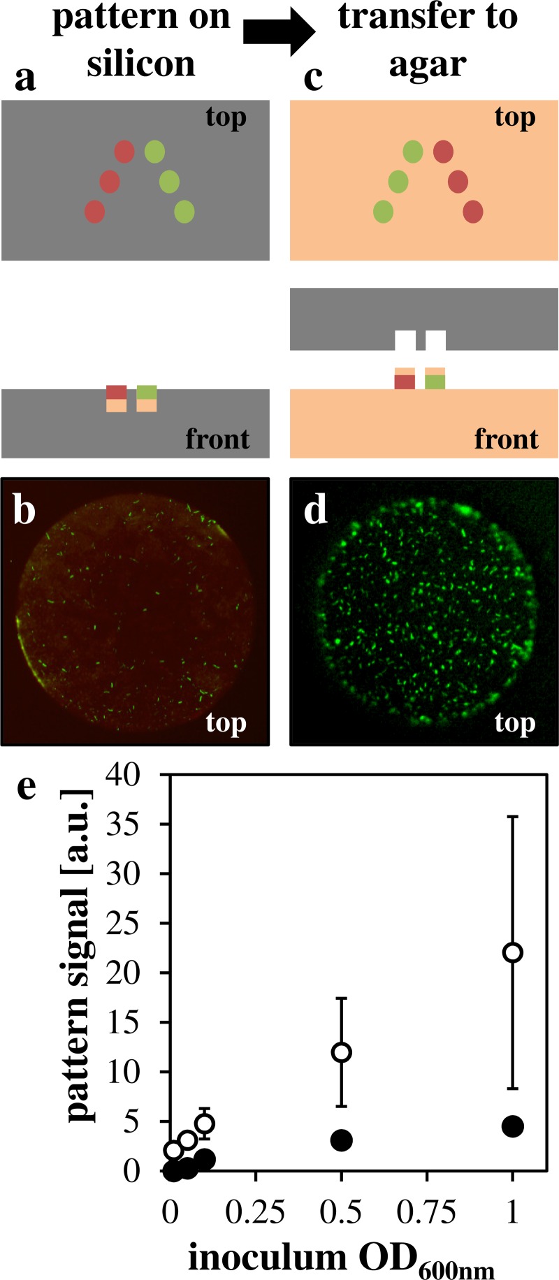 FIG. 3.