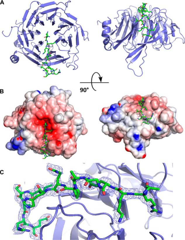 Figure 2.