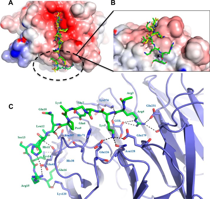 Figure 3.