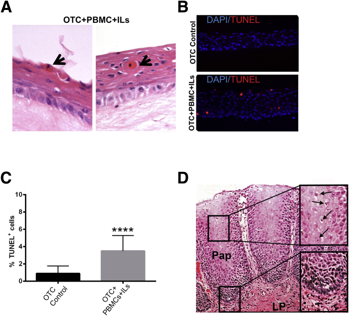 Figure 6