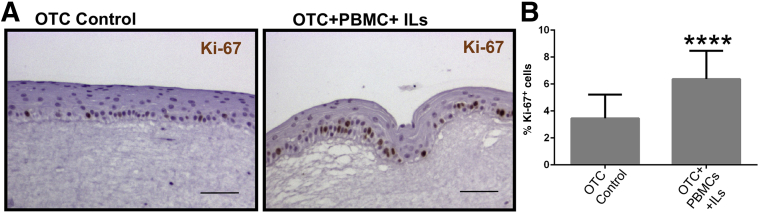 Figure 5