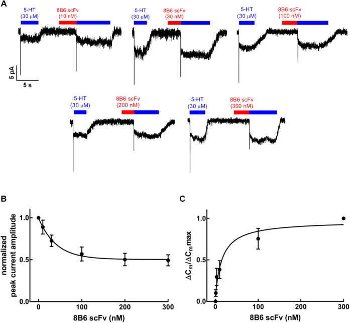 Figure 2