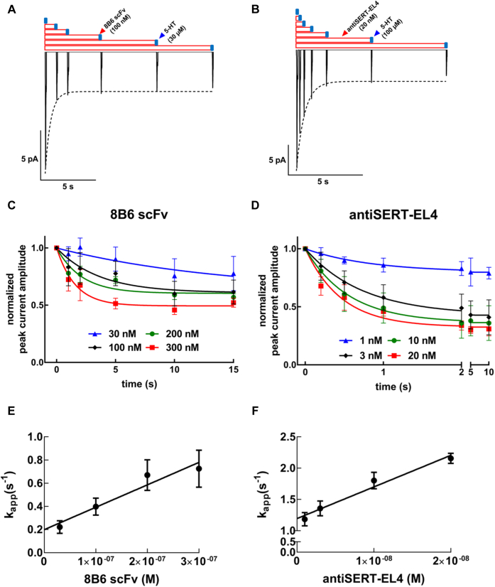 Figure 4