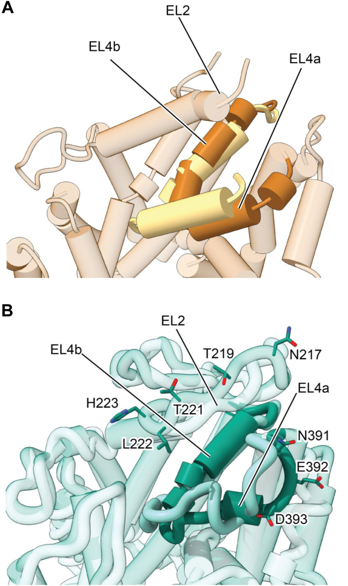 Figure 10