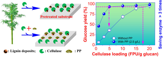 graphic file with name 40643_2021_363_Figa_HTML.jpg