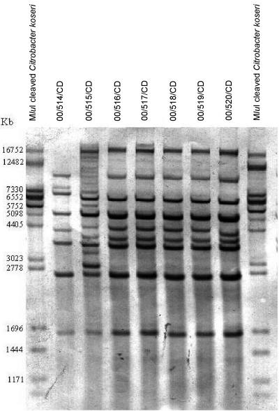 FIG. 1.