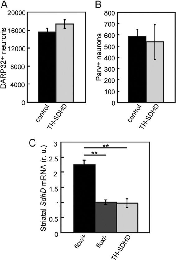 Fig 7