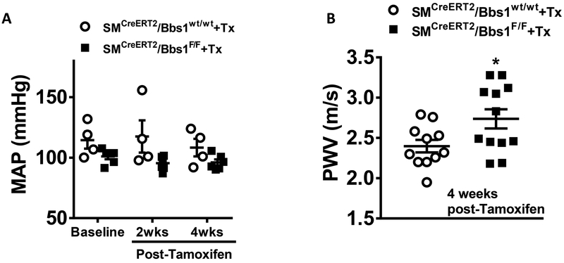 Figure 5 –