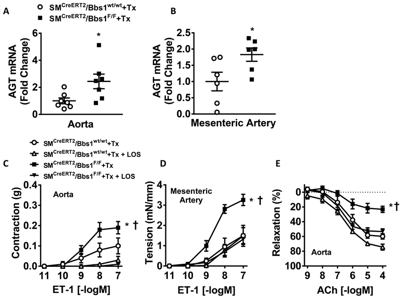 Figure 6 –