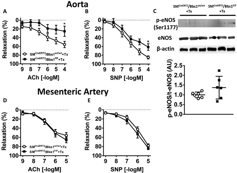 Figure 2 –