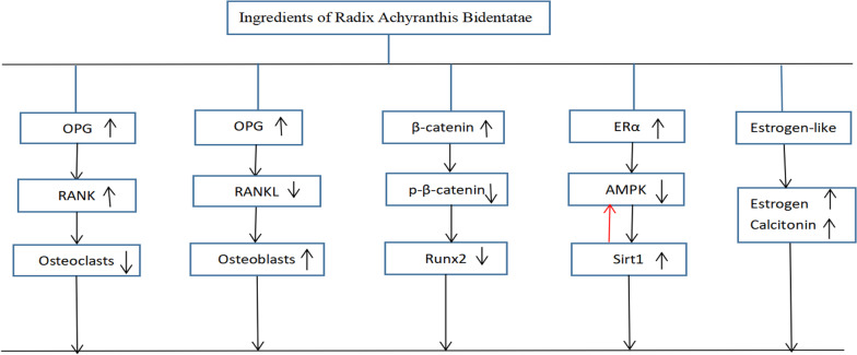 Fig. 11