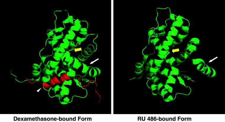 Fig. 2