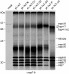 FIG. 6.