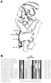 FIG. 2.
