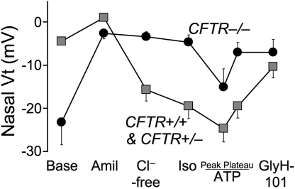 Fig. 5