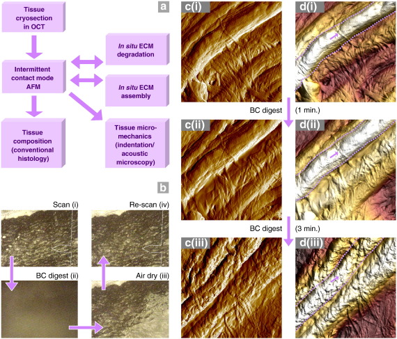 Fig. 4