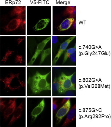 Figure 4