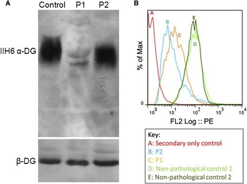 Figure 3