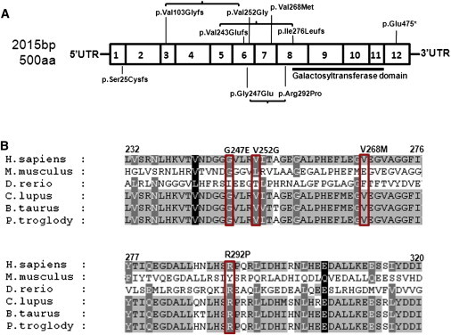 Figure 6