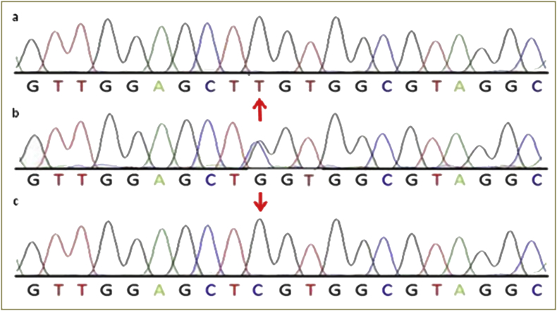 Figure 5