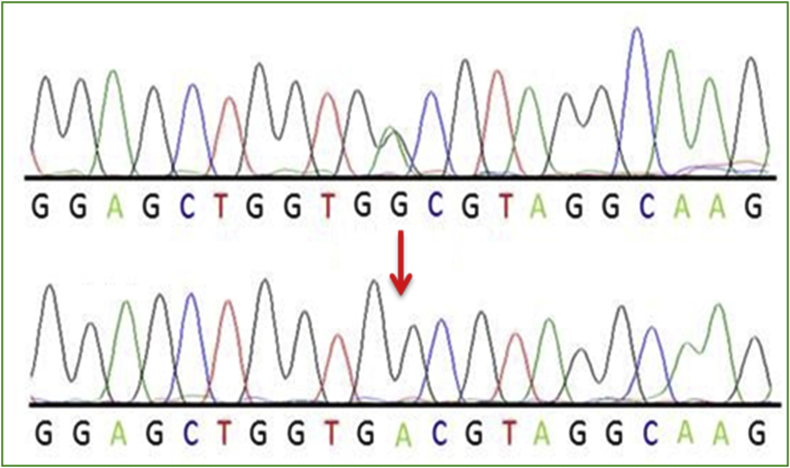 Figure 4