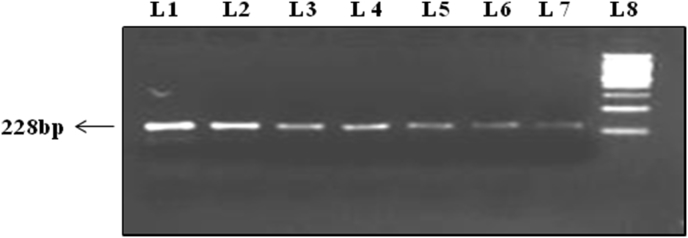 Figure 1