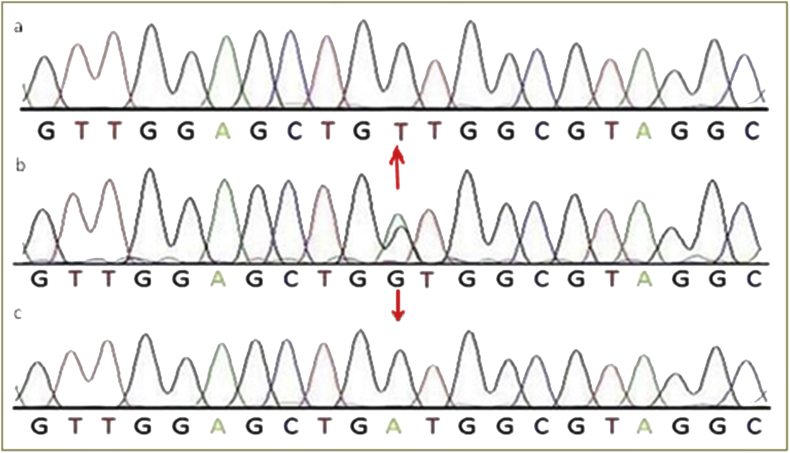 Figure 3