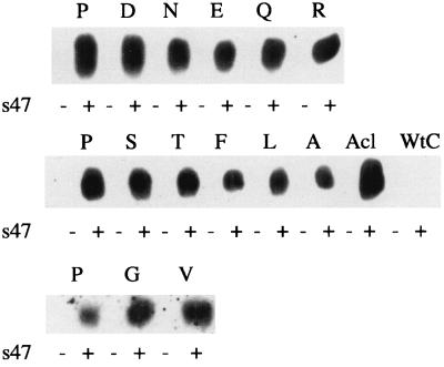 FIG. 6