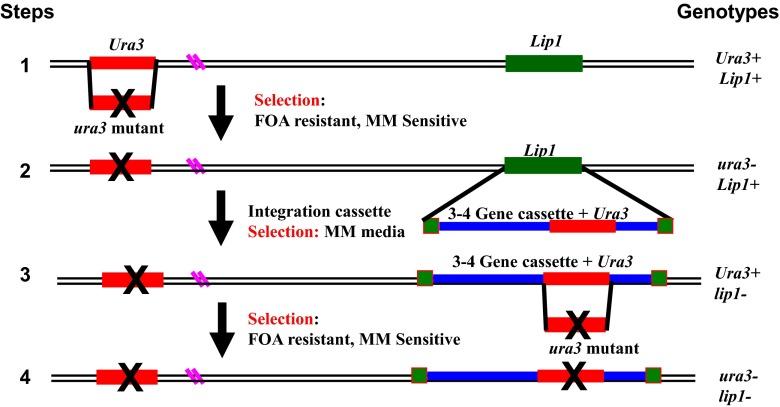 Fig. 4