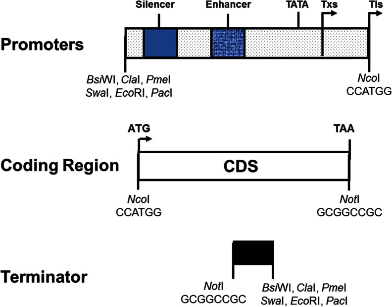 Fig. 3