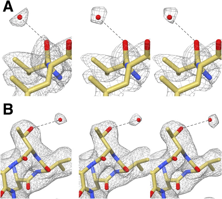 Figure 4—figure supplement 1.