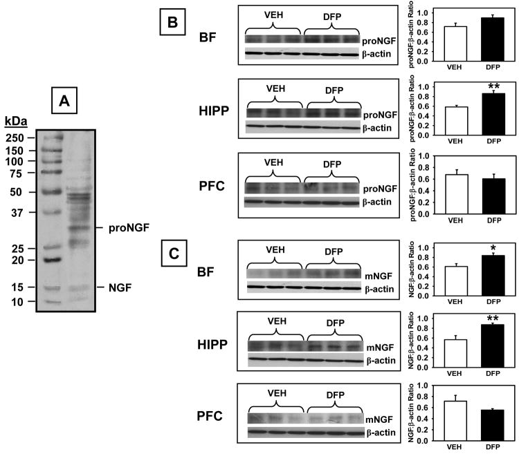 Fig 9