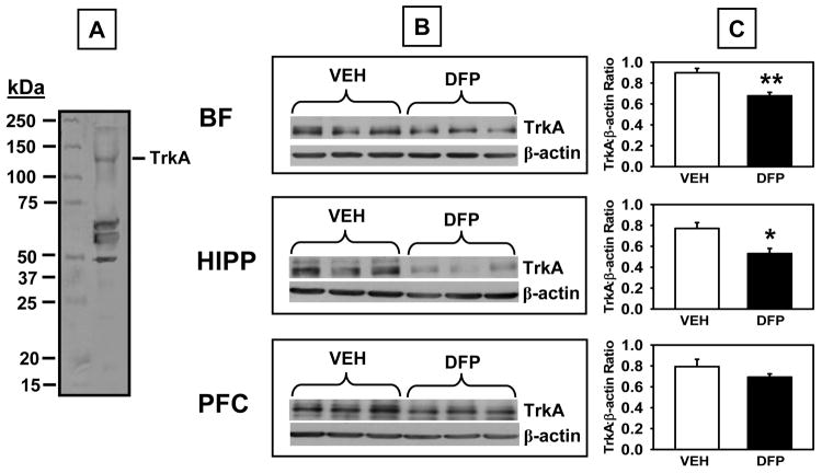 Fig 10