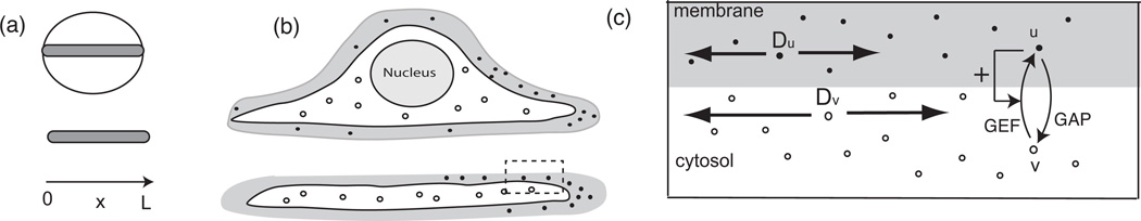 Fig. 2.1