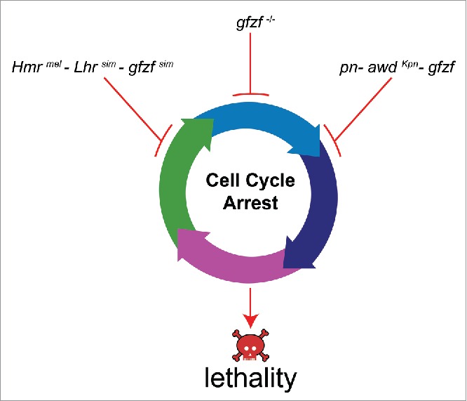 Figure 1.