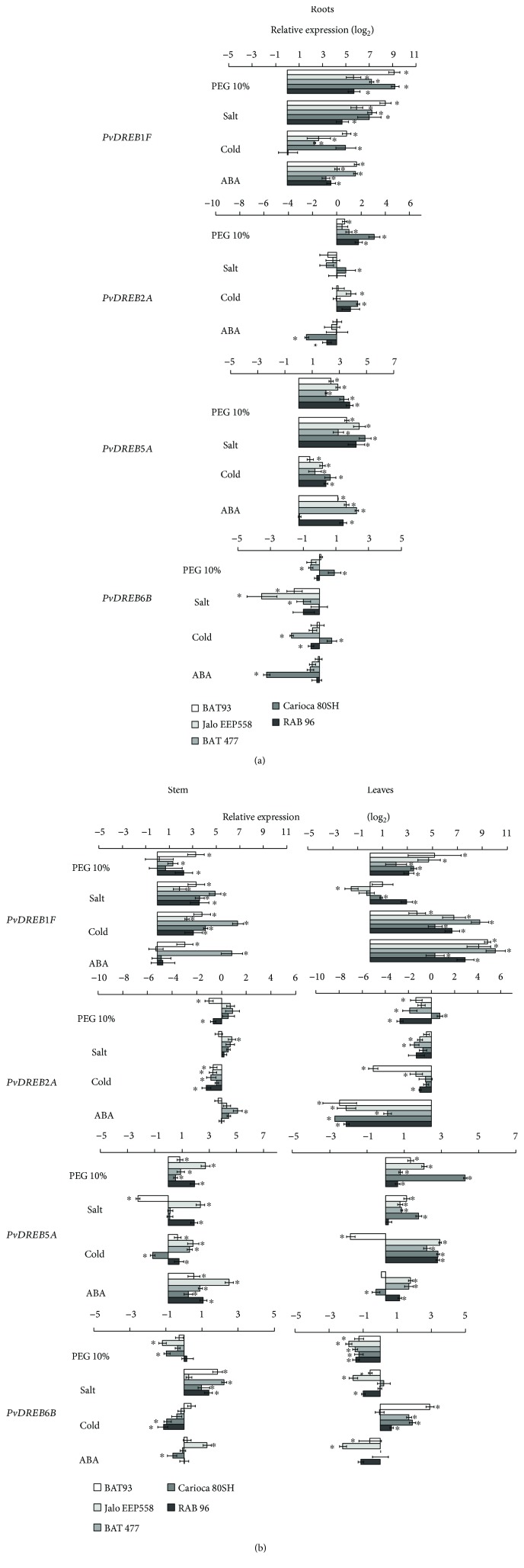 Figure 10