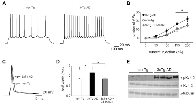 Fig. 8