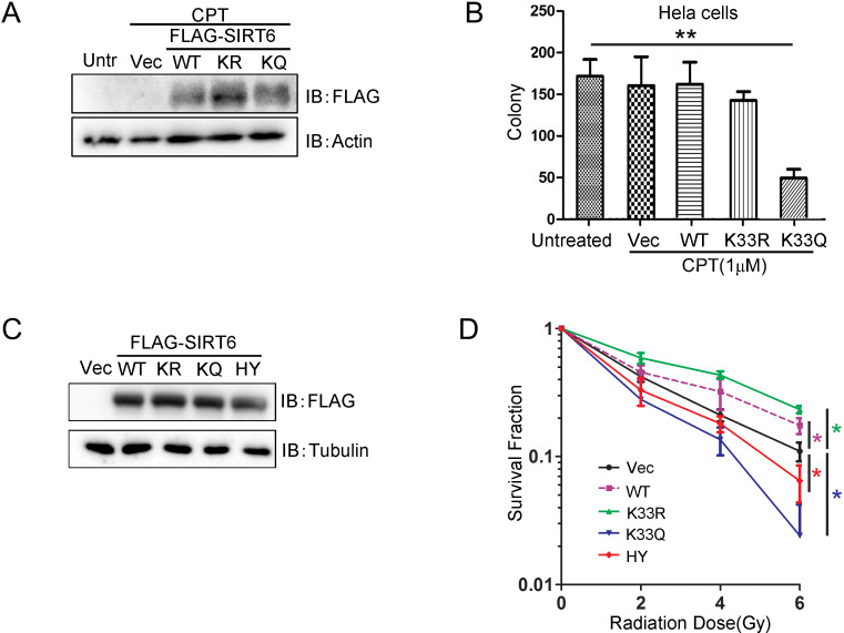 Figure 7—figure supplement 3.