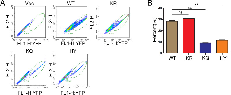 Figure 2—figure supplement 4.