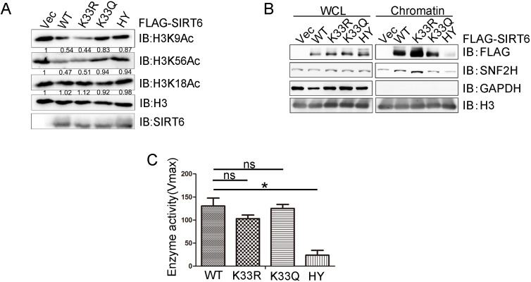 Figure 2—figure supplement 3.