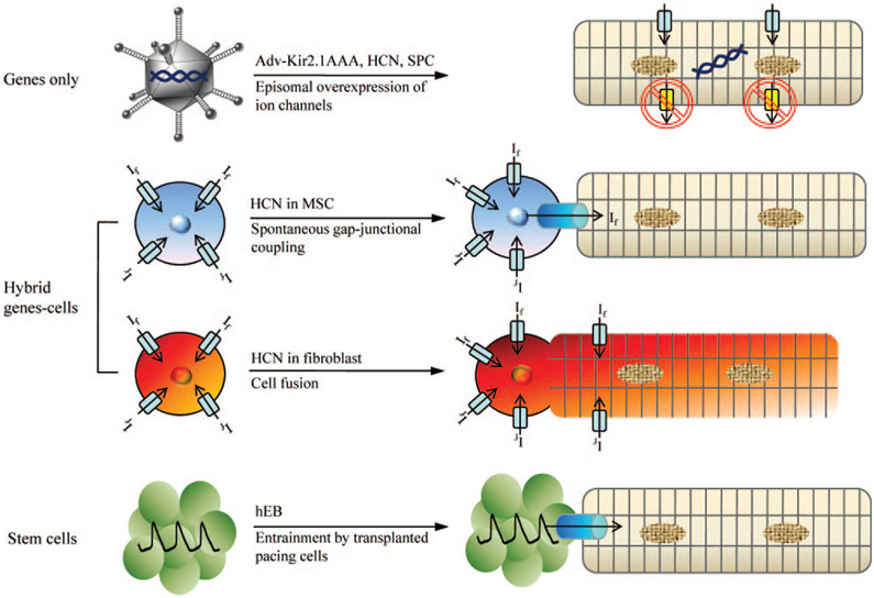 Figure 6.