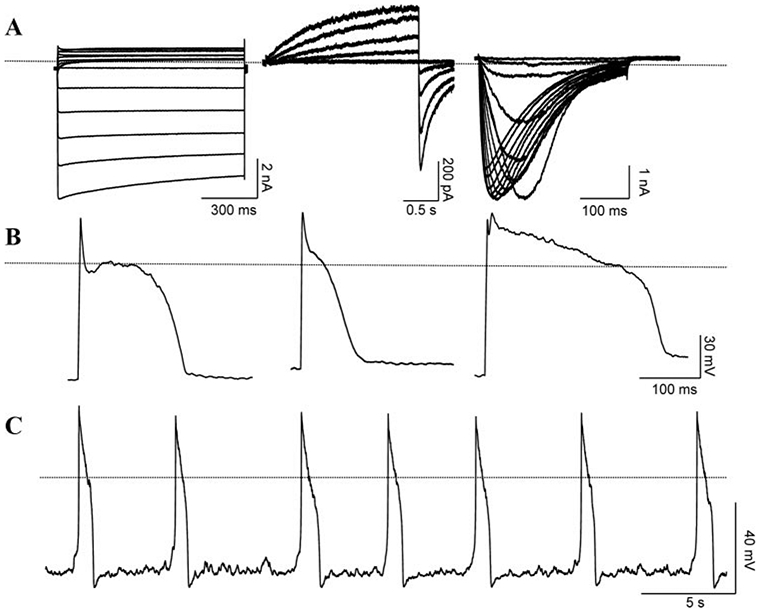 Figure 5.