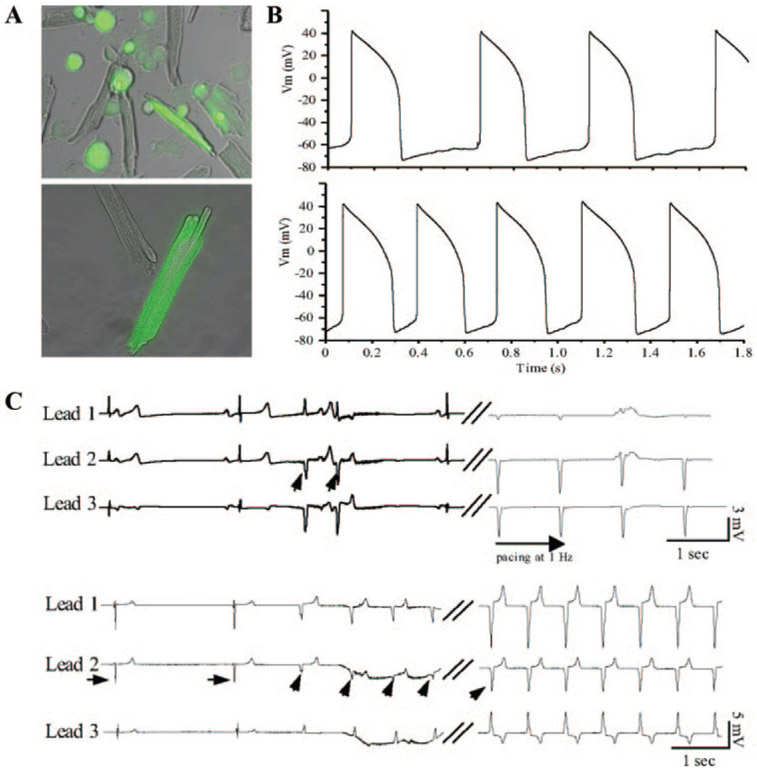 Figure 4.