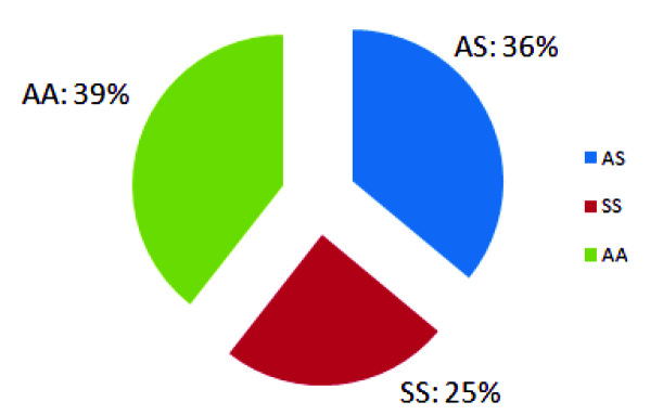 [Table/Fig-6]: