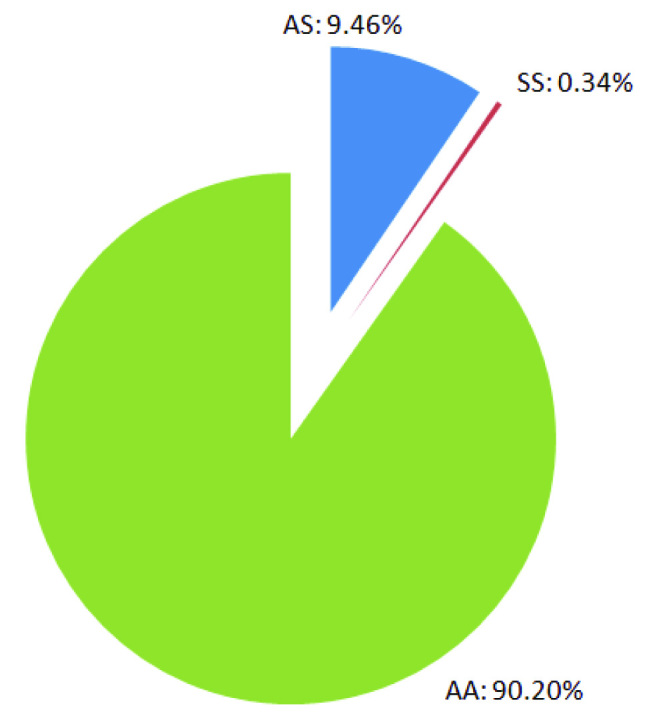 [Table/Fig-4]: