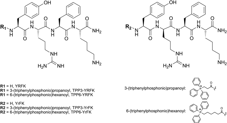 Fig. 1