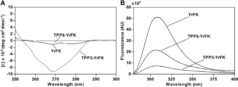 Fig. 3