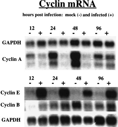 FIG. 9