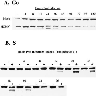 FIG. 7