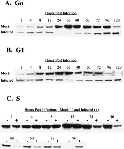 FIG. 6